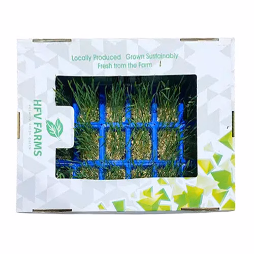 Wheatgrass Cress 18s UAE